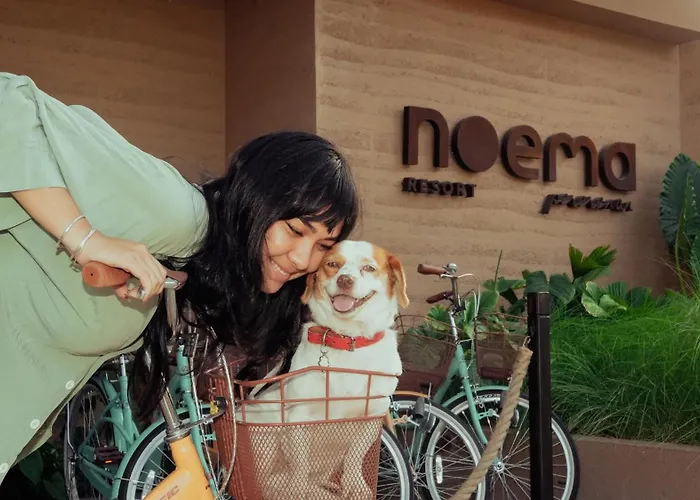 Noema Pererenan ホテル 4*